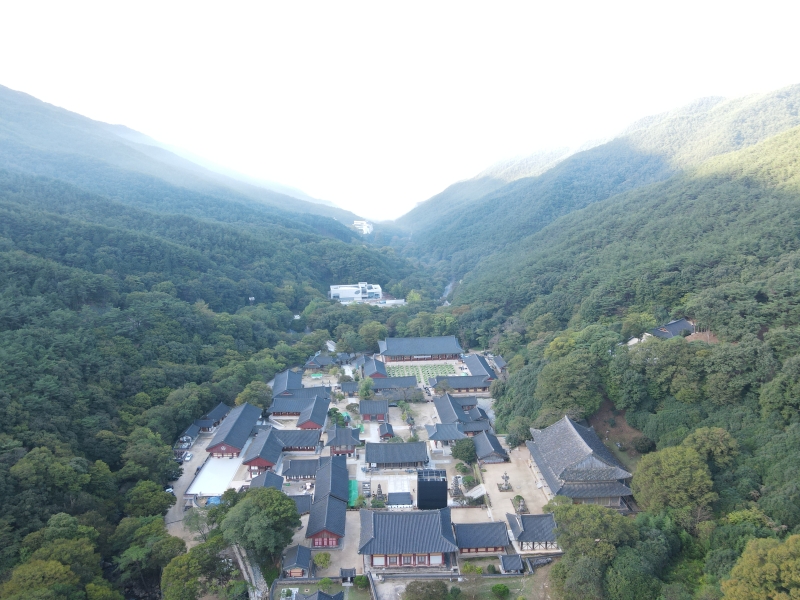 화엄사 전경(경내에 숙영 텐트를 친 모습이 보인다)